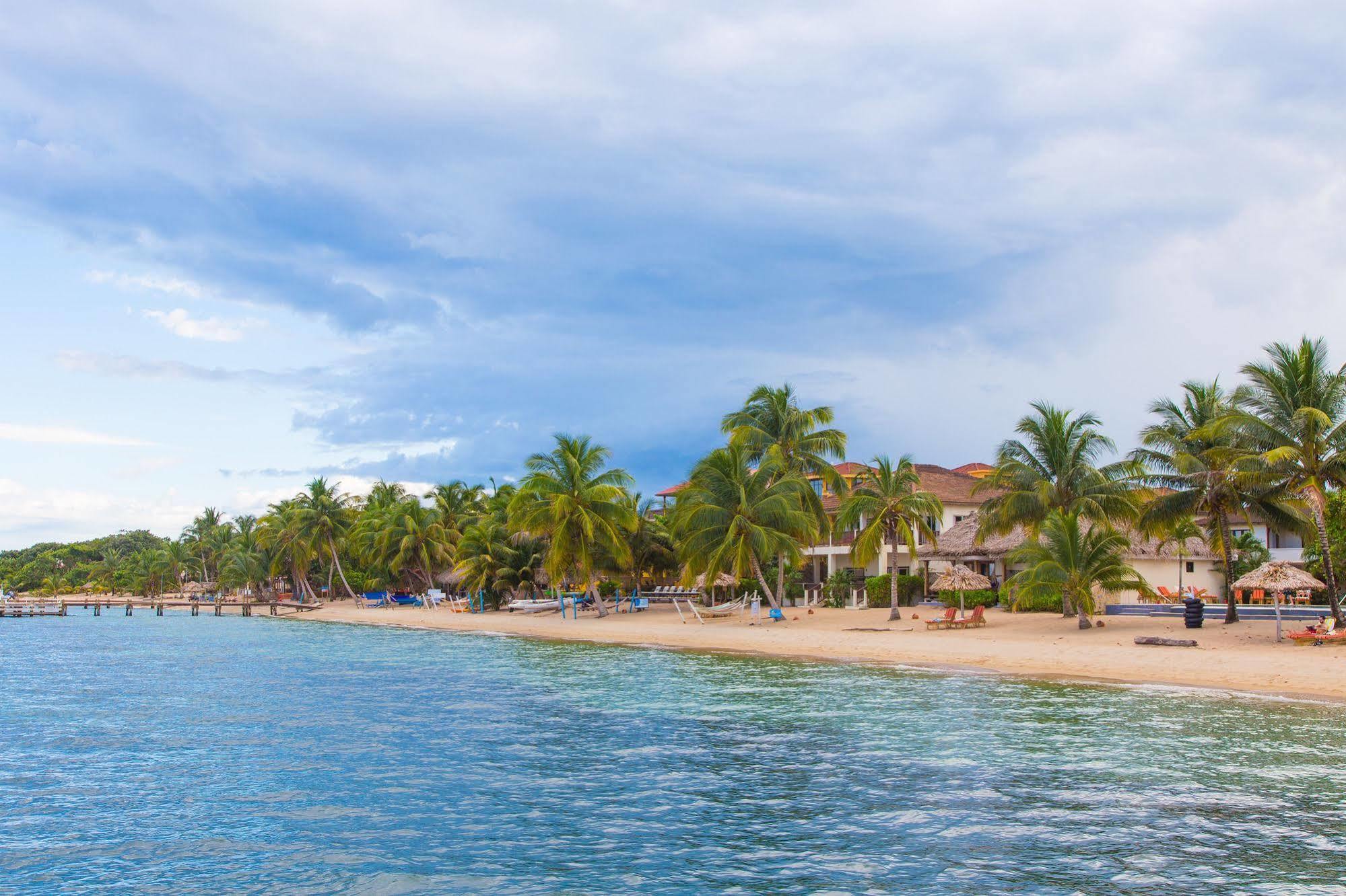 Almond Beach Resort At Jaguar Reef Хопкінс Екстер'єр фото