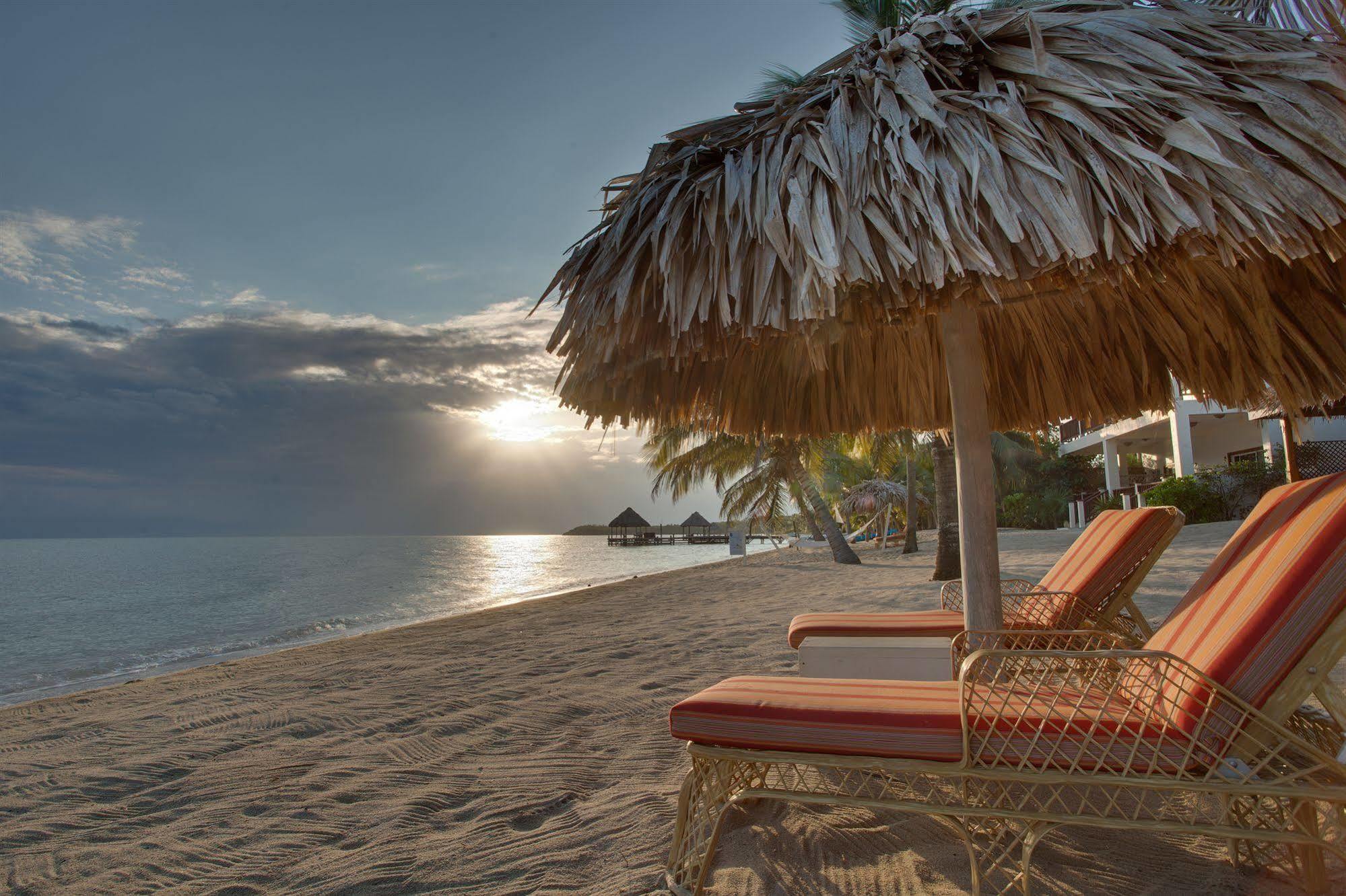 Almond Beach Resort At Jaguar Reef Хопкінс Екстер'єр фото